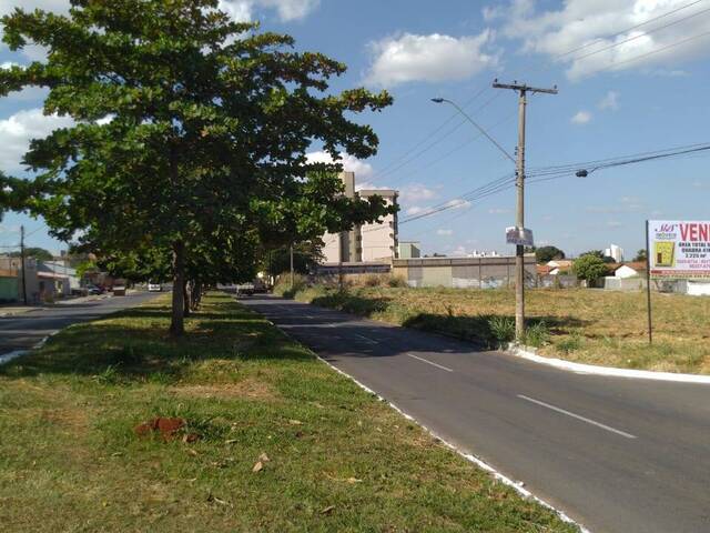 Venda em Vila Brasília - Aparecida de Goiânia